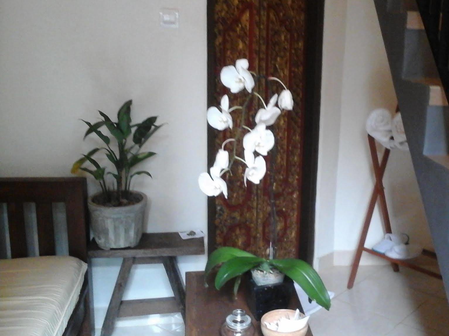 Corner Guest House Ubud Eksteriør bilde